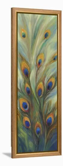 Peacock Tale-Sloane Addison  -Framed Stretched Canvas