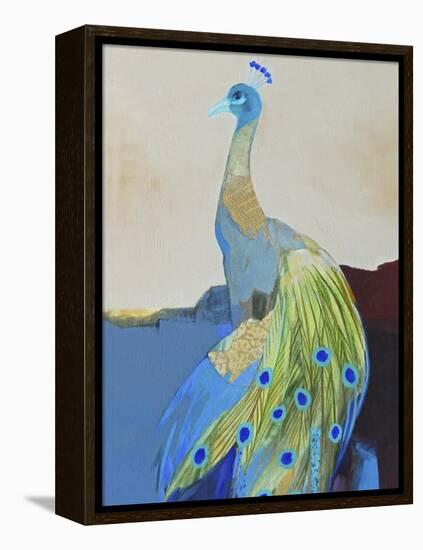 Peacock Transition II-Larry Foregard-Framed Stretched Canvas