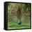 Peacock With Beautiful Feathers Outdoors-NejroN Photo-Framed Premier Image Canvas