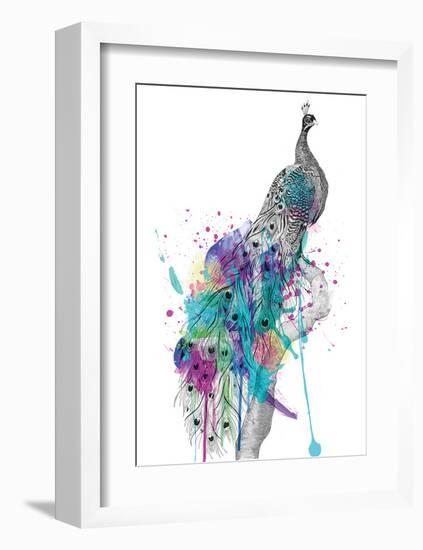 Peacock-Karin Roberts-Framed Premium Giclee Print