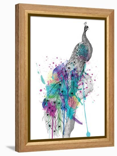 Peacock-Karin Roberts-Framed Stretched Canvas