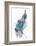 Peacock-Karin Roberts-Framed Art Print