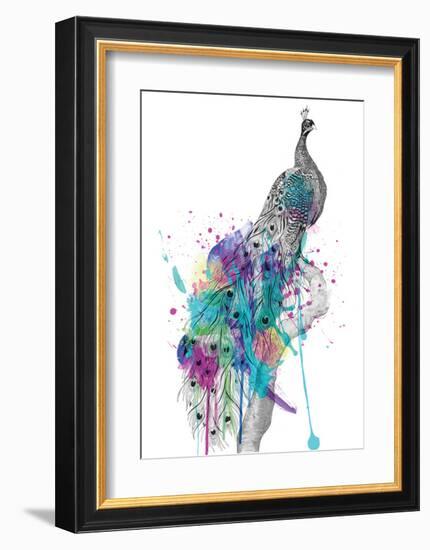 Peacock-Karin Roberts-Framed Art Print