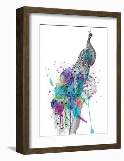 Peacock-Karin Roberts-Framed Art Print