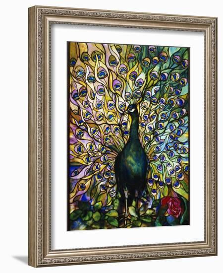 Peacock-American School-Framed Giclee Print