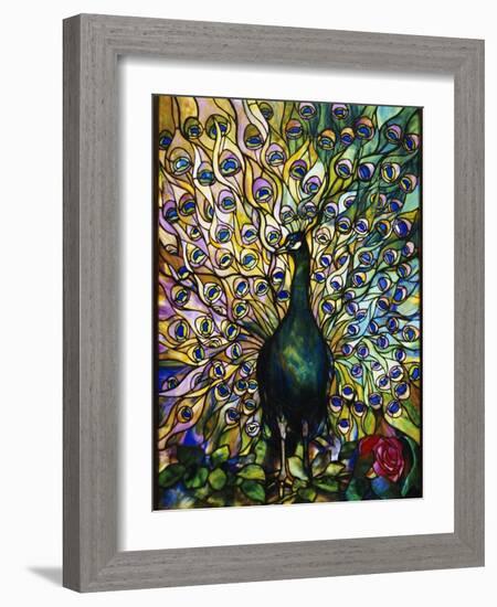 Peacock-American School-Framed Giclee Print