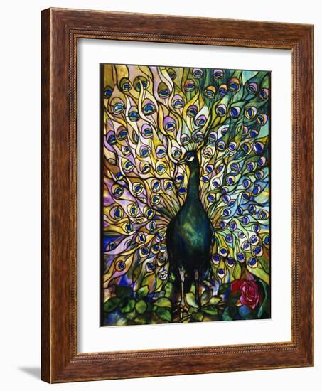 Peacock-American School-Framed Giclee Print