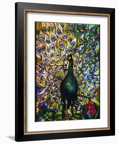 Peacock-American School-Framed Giclee Print