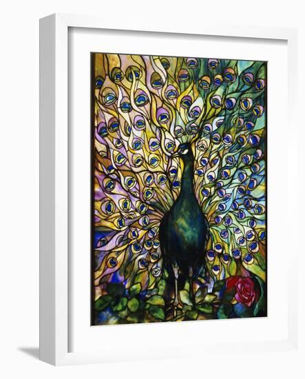 Peacock-American School-Framed Giclee Print