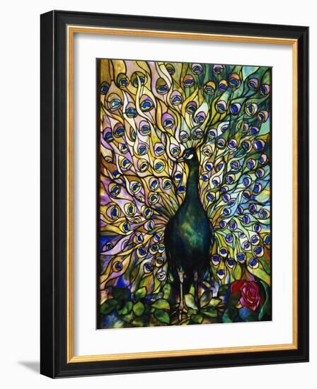 Peacock-American School-Framed Giclee Print