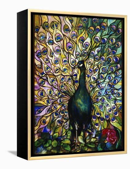 Peacock-American School-Framed Premier Image Canvas