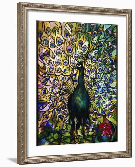 Peacock-American School-Framed Giclee Print