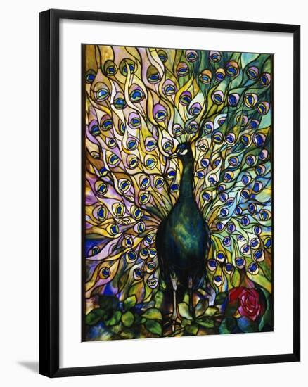 Peacock-American School-Framed Giclee Print