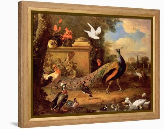 Peacocks and Other Birds by a Lake-Melchior de Hondecoeter-Framed Premier Image Canvas