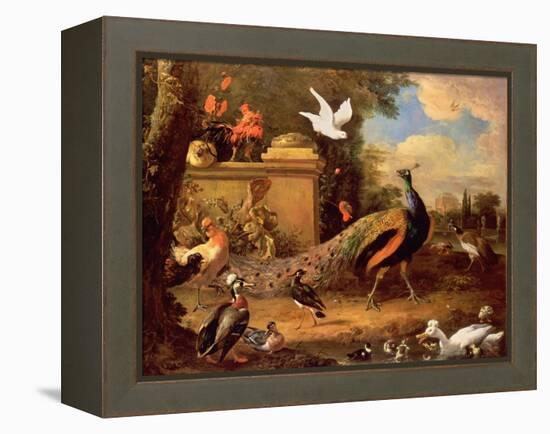Peacocks and Other Birds by a Lake-Melchior de Hondecoeter-Framed Premier Image Canvas