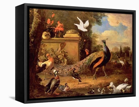 Peacocks and Other Birds by a Lake-Melchior de Hondecoeter-Framed Premier Image Canvas