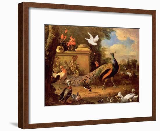 Peacocks and Other Birds by a Lake-Melchior de Hondecoeter-Framed Giclee Print