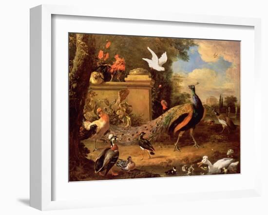 Peacocks and Other Birds by a Lake-Melchior de Hondecoeter-Framed Giclee Print