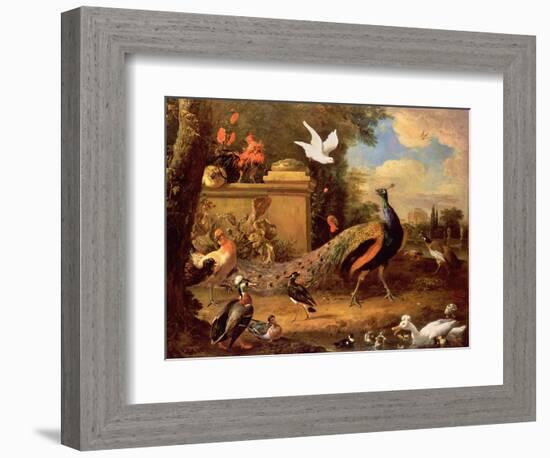 Peacocks and Other Birds by a Lake-Melchior de Hondecoeter-Framed Giclee Print