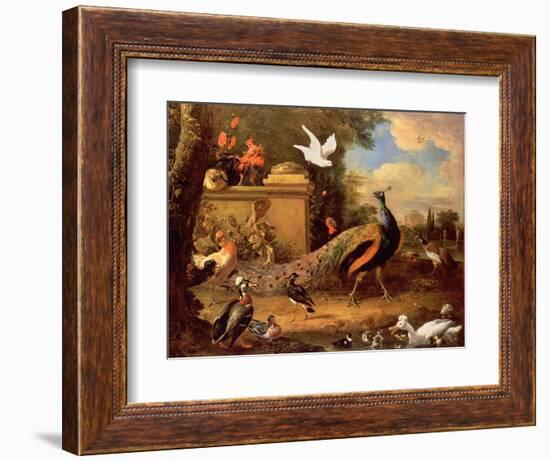 Peacocks and Other Birds by a Lake-Melchior de Hondecoeter-Framed Giclee Print