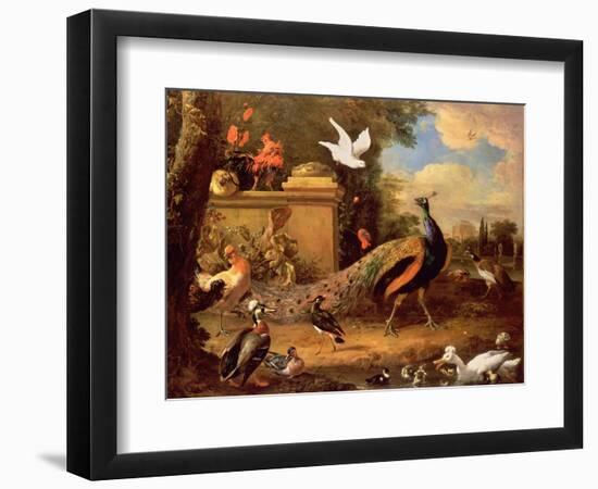 Peacocks and Other Birds by a Lake-Melchior de Hondecoeter-Framed Giclee Print