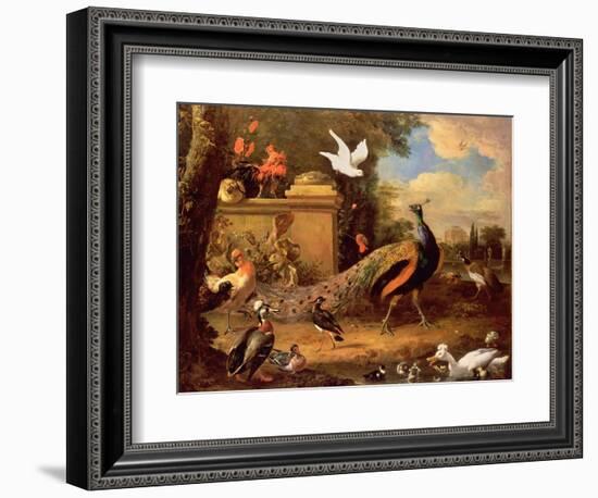 Peacocks and Other Birds by a Lake-Melchior de Hondecoeter-Framed Giclee Print