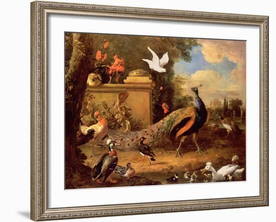 Peacocks and Other Birds by a Lake-Melchior de Hondecoeter-Framed Giclee Print