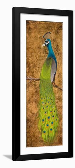 Peacocks I-Josefina-Framed Art Print