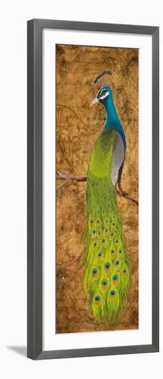 Peacocks I-Josefina-Framed Art Print