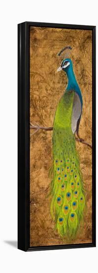 Peacocks I-Josefina-Framed Stretched Canvas