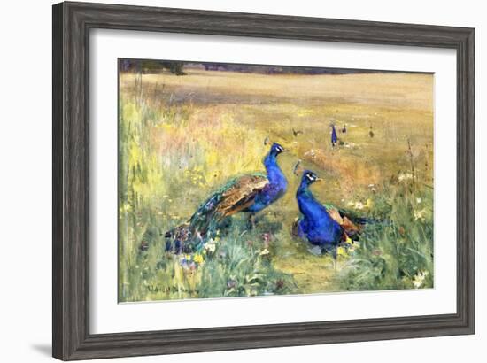 Peacocks in a Field-Mildred Anne Butler-Framed Giclee Print