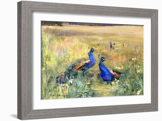 Peacocks in a Field-Mildred Anne Butler-Framed Giclee Print