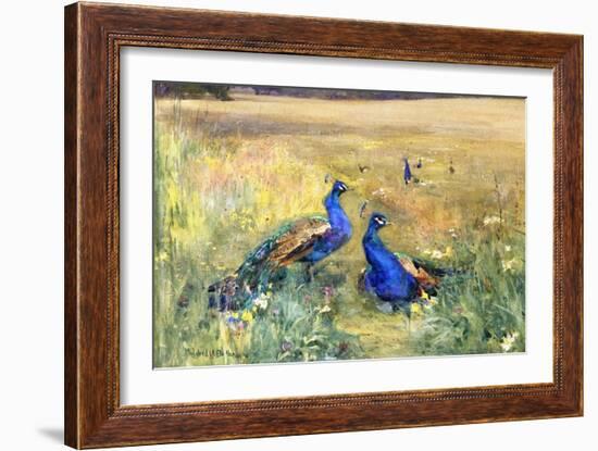 Peacocks in a Field-Mildred Anne Butler-Framed Giclee Print