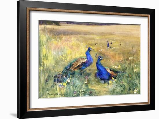 Peacocks in a Field-Mildred Anne Butler-Framed Giclee Print