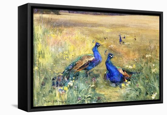 Peacocks in a Field-Mildred Anne Butler-Framed Premier Image Canvas