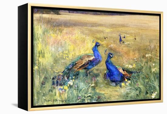 Peacocks in a Field-Mildred Anne Butler-Framed Premier Image Canvas