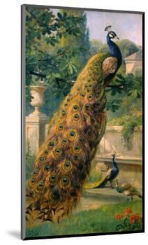 Peacocks in the Park, 1886-Olaf August Hermansen-Mounted Premium Giclee Print