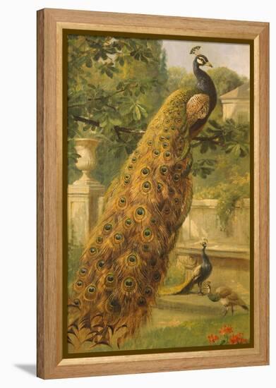 Peacocks in the Park, 1886-Olaf August Hermansen-Framed Premier Image Canvas