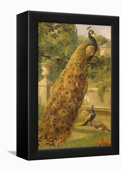 Peacocks in the Park, 1886-Olaf August Hermansen-Framed Premier Image Canvas