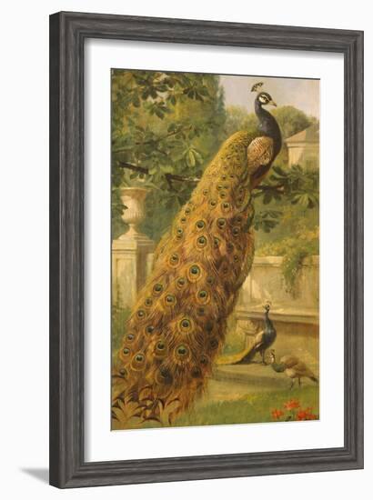 Peacocks in the Park, 1886-Olaf August Hermansen-Framed Giclee Print
