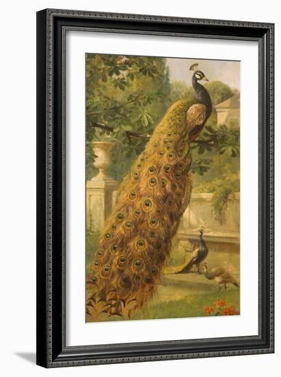 Peacocks in the Park, 1886-Olaf August Hermansen-Framed Giclee Print