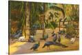 Stretched Canvas Print