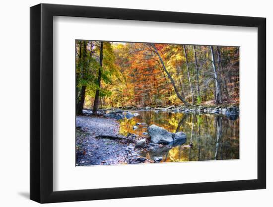 Peak Fall Foliage at the Black River, New Jersey-George Oze-Framed Photographic Print