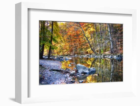 Peak Fall Foliage at the Black River, New Jersey-George Oze-Framed Photographic Print