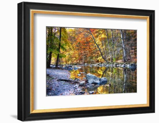 Peak Fall Foliage at the Black River, New Jersey-George Oze-Framed Photographic Print
