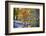 Peak Fall Foliage at the Black River, New Jersey-George Oze-Framed Photographic Print