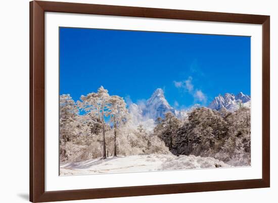 Peak of Mount Everest with snow covered forest, Himalayas, Nepal, Asia-Laura Grier-Framed Photographic Print