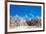 Peak of Mount Everest with snow covered forest, Himalayas, Nepal, Asia-Laura Grier-Framed Photographic Print