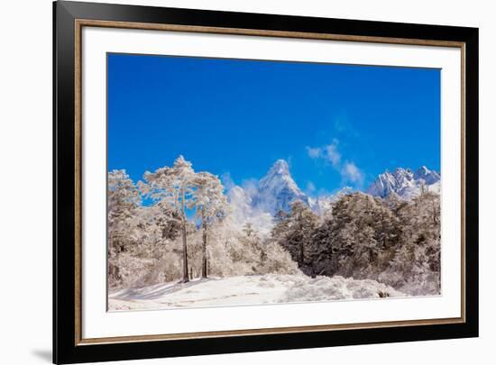 Peak of Mount Everest with snow covered forest, Himalayas, Nepal, Asia-Laura Grier-Framed Photographic Print