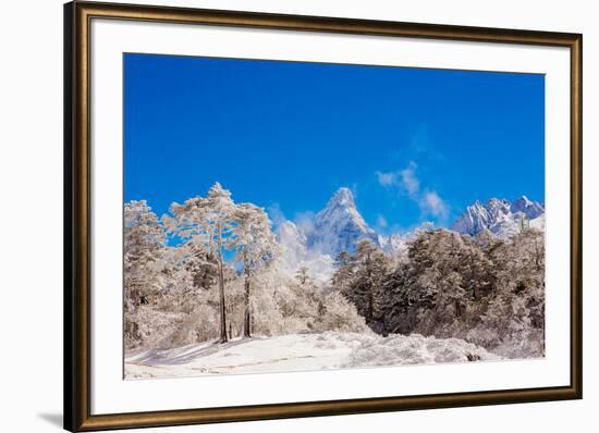 Peak of Mount Everest with snow covered forest, Himalayas, Nepal, Asia-Laura Grier-Framed Photographic Print